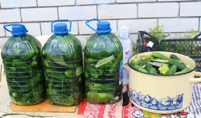 Хрустящие огурцы в пластиковой бутылке: по вкусу, как из бочки