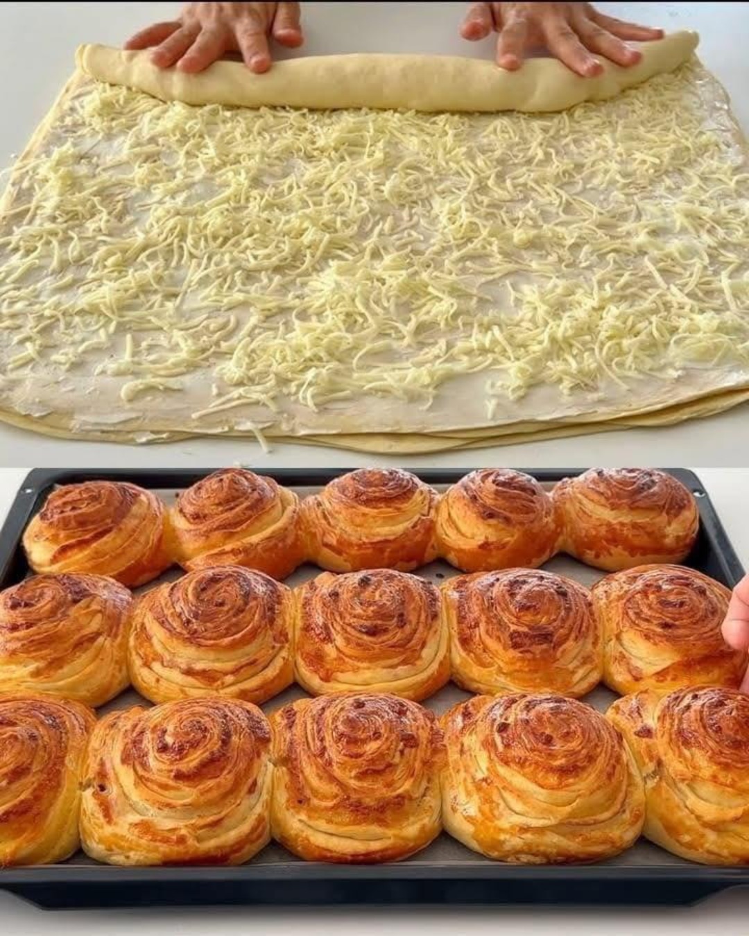 Melci umpluți cu brânză… un preparat care va deveni preferatul casei tale!