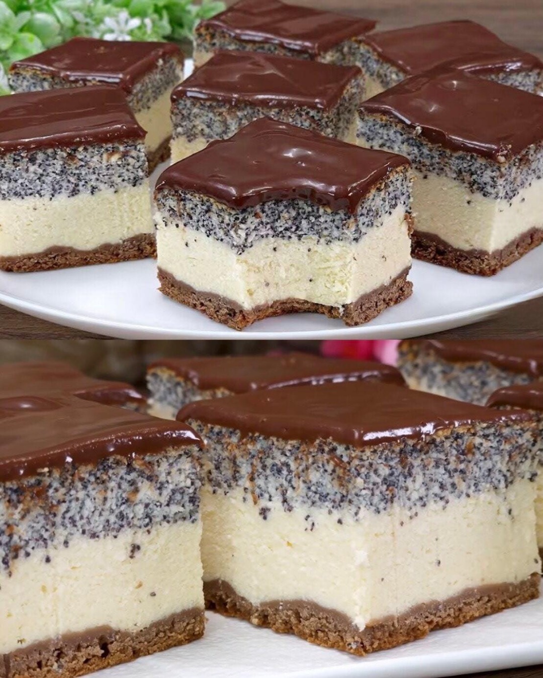 Tort cu mac și ganache de ciocolată