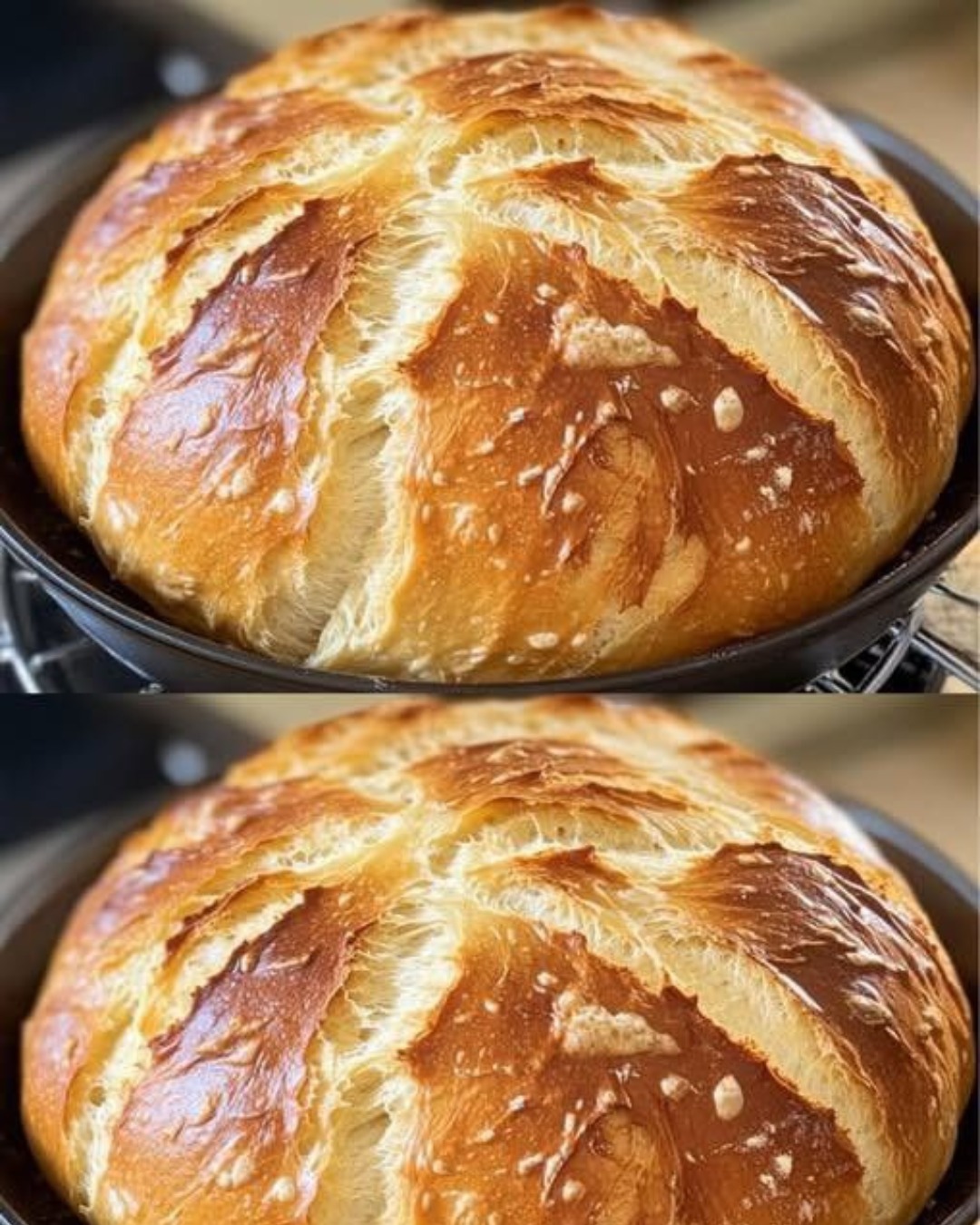 Pâine delicioasă de spelta cu iaurt Pâine delicioasă de spelta cu iaurt
