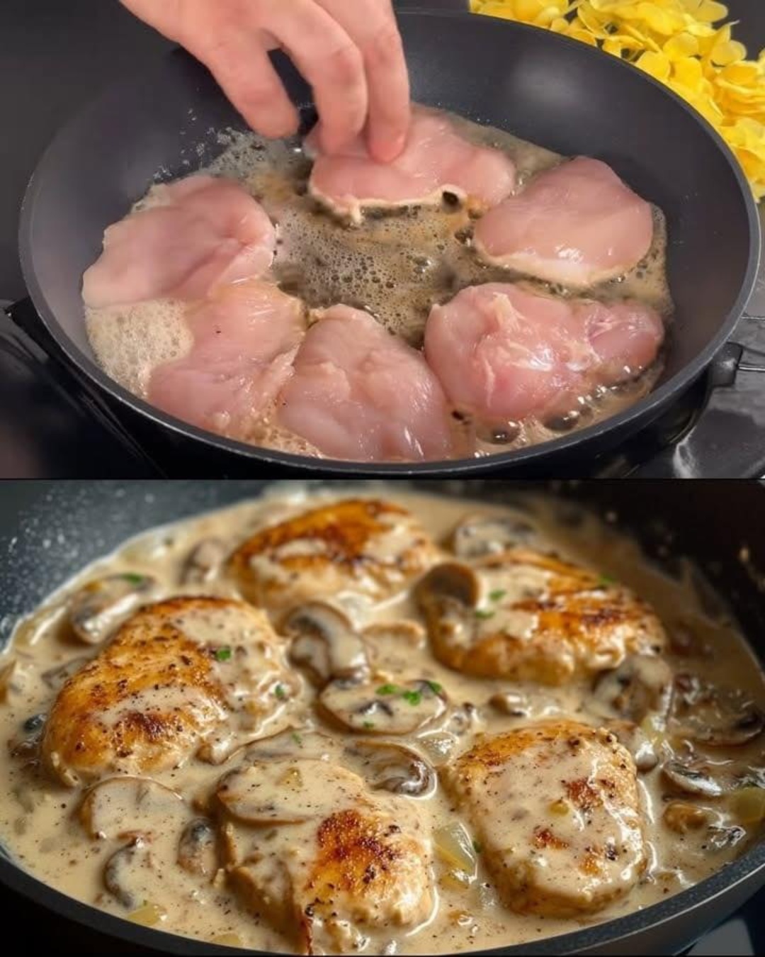 Prepar acest pui cu ciuperci de 3 ori pe săptămână! Se face ușor, iar gustul este fantastic!