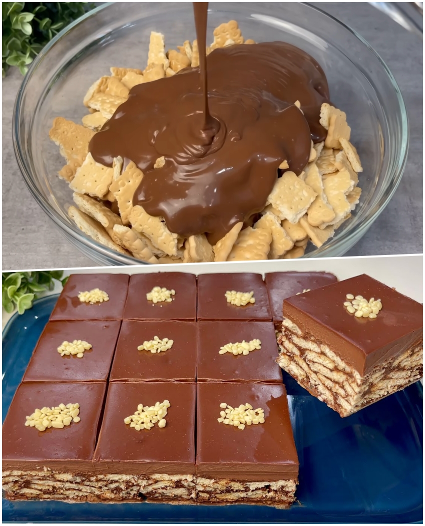 Prăjitură cu biscuiți și ciocolată fără coacere