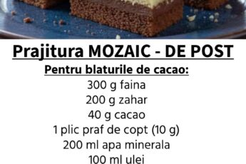 Prăjitura Mozaic de Post