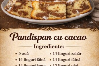 Pandispan cu cacao