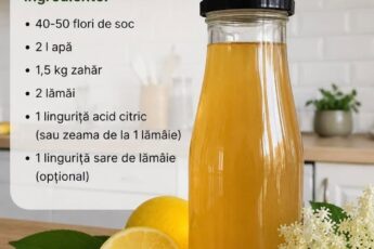 Sirop de Soc de Casă